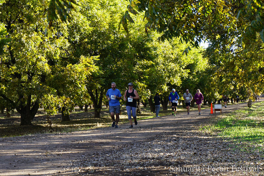 Sahuarita Pecan Festival 2025